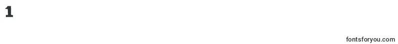 DkLunisolar Font – Fonts for Digit 1