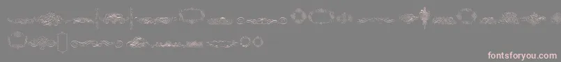 CalligraphiaLatinaFree-Schriftart – Rosa Schriften auf grauem Hintergrund