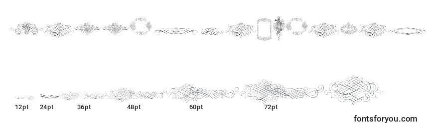 Größen der Schriftart CalligraphiaLatinaFree (60276)