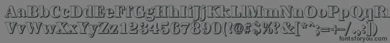 AntiquashCdXboldRegular Font – Black Fonts on Gray Background
