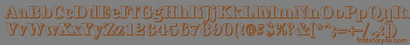 AntiquashCdXboldRegular Font – Brown Fonts on Gray Background