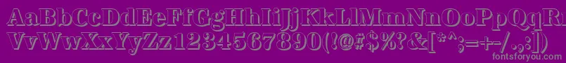 AntiquashCdXboldRegular-Schriftart – Graue Schriften auf violettem Hintergrund