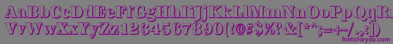 AntiquashCdXboldRegular-Schriftart – Violette Schriften auf grauem Hintergrund