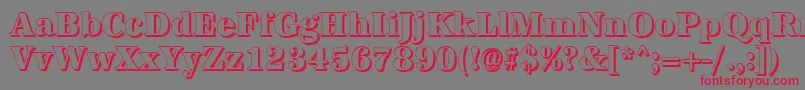 AntiquashCdXboldRegular Font – Red Fonts on Gray Background
