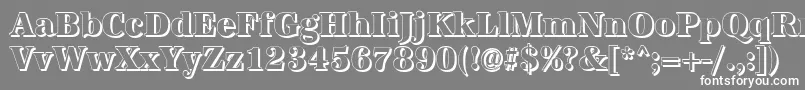 フォントAntiquashCdXboldRegular – 灰色の背景に白い文字
