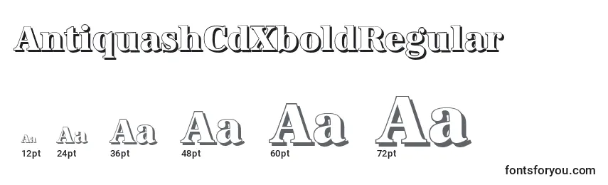 Размеры шрифта AntiquashCdXboldRegular