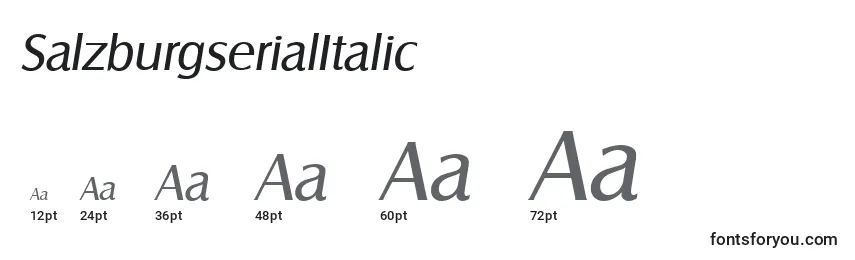 Размеры шрифта SalzburgserialItalic