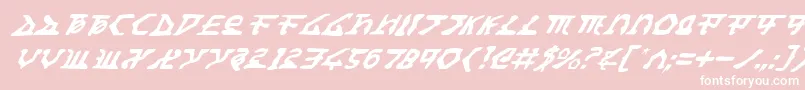 HomeworldTranslatorItalic Font – White Fonts on Pink Background