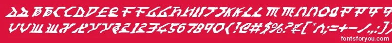 HomeworldTranslatorItalic Font – White Fonts on Red Background