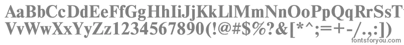 フォントTimesetBold – 白い背景に灰色の文字