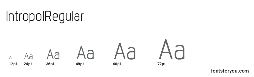 IntropolRegular Font Sizes