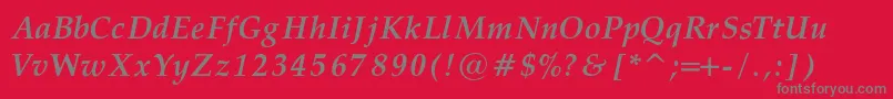 PalatinoBoldItalicRegular Font – Gray Fonts on Red Background