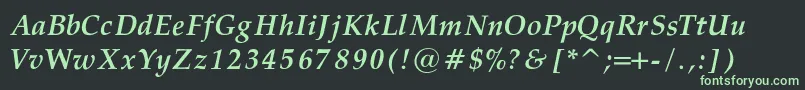 Czcionka PalatinoBoldItalicRegular – zielone czcionki na czarnym tle