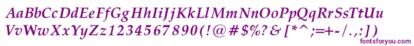 PalatinoBoldItalicRegular Font – Purple Fonts