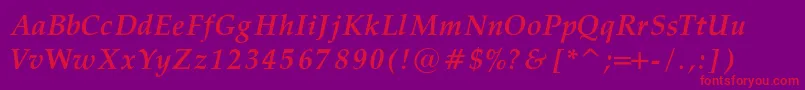 PalatinoBoldItalicRegular Font – Red Fonts on Purple Background