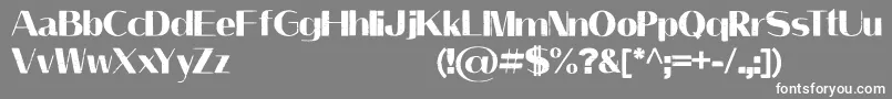 LeilaniPersonalUseOnly Font – White Fonts on Gray Background