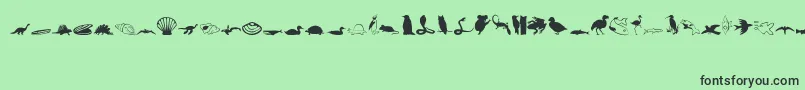 Animals1 Font – Black Fonts on Green Background