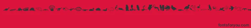 フォントAnimals1 – 赤い背景に黒い文字