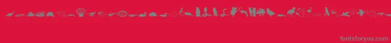 Animals1 Font – Gray Fonts on Red Background