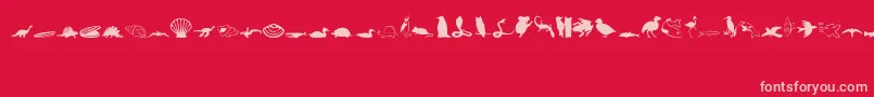 Saiba mais sobre a fonte Animals1 Fonte Animals1 – fontes rosa em um fundo vermelho