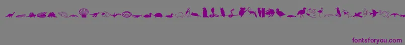 Animals1 Font – Purple Fonts on Gray Background