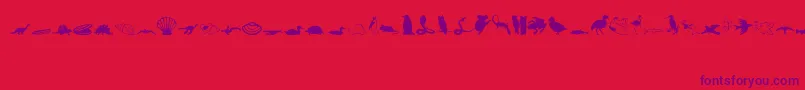 Animals1-Schriftart – Violette Schriften auf rotem Hintergrund