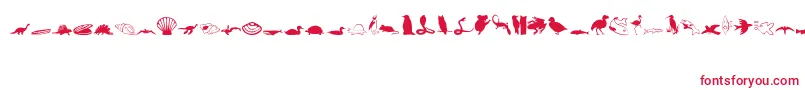 Animals1 Font – Red Fonts on White Background
