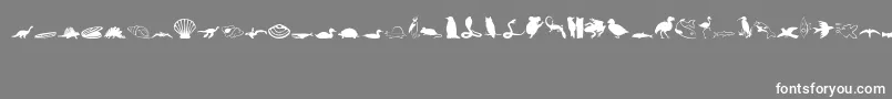 フォントAnimals1 – 灰色の背景に白い文字