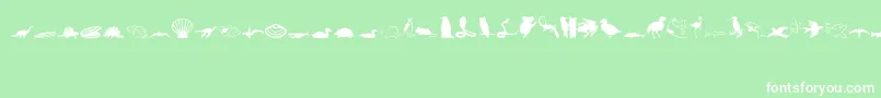Animals1 Font – White Fonts on Green Background
