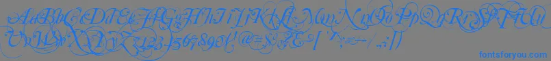 MutluOrnamental-Schriftart – Blaue Schriften auf grauem Hintergrund