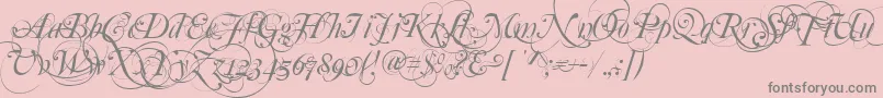 MutluOrnamental Font – Gray Fonts on Pink Background