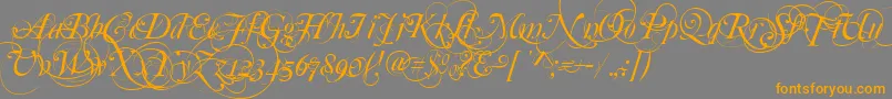 MutluOrnamental-Schriftart – Orangefarbene Schriften auf grauem Hintergrund