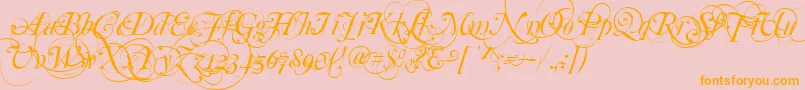 MutluOrnamental Font – Orange Fonts on Pink Background