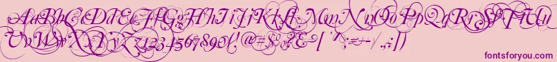 MutluOrnamental Font – Purple Fonts on Pink Background