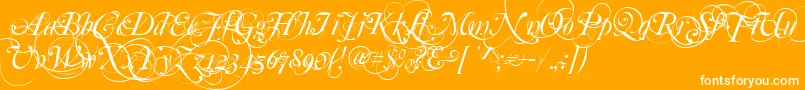 More about MutluOrnamental Font MutluOrnamental Font – White Fonts on Orange Background
