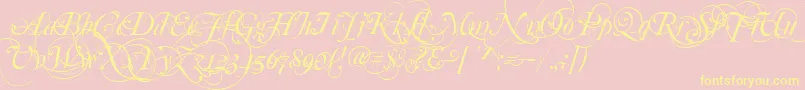 MutluOrnamental-Schriftart – Gelbe Schriften auf rosa Hintergrund