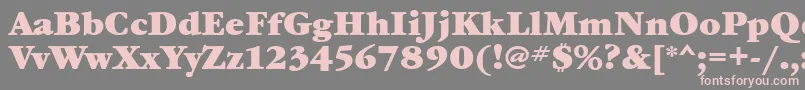 フォントGaramondbookcttBold – 灰色の背景にピンクのフォント