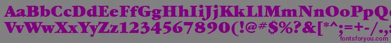 フォントGaramondbookcttBold – 紫色のフォント、灰色の背景