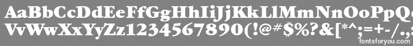 GaramondbookcttBold-fontti – valkoiset fontit harmaalla taustalla