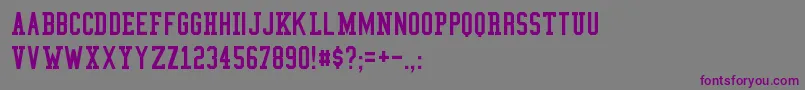 CollegeCondensed Font – Purple Fonts on Gray Background