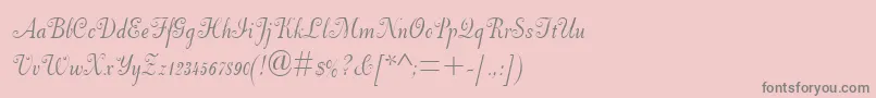 DorchesterScriptMt-fontti – harmaat kirjasimet vaaleanpunaisella taustalla