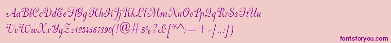 DorchesterScriptMt-Schriftart – Violette Schriften auf rosa Hintergrund