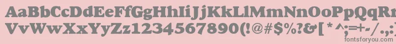 More about AlexussHeavy Font AlexussHeavy Font – Gray Fonts on Pink Background