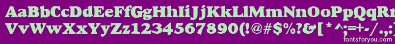 AlexussHeavy Font – Green Fonts on Purple Background