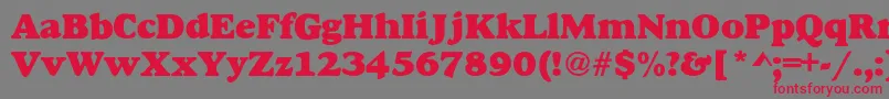 AlexussHeavy Font – Red Fonts on Gray Background