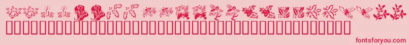 KrLotsOfHolly Font – Red Fonts on Pink Background