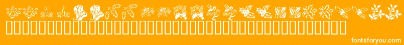 Шрифт KrLotsOfHolly – белые шрифты на оранжевом фоне