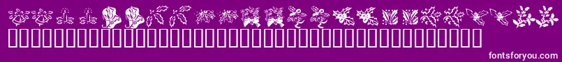 フォントKrLotsOfHolly – 紫の背景に白い文字