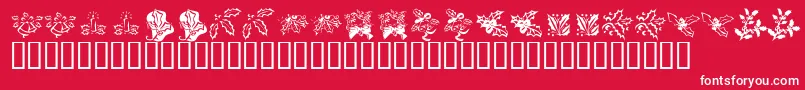 KrLotsOfHolly Font – White Fonts on Red Background