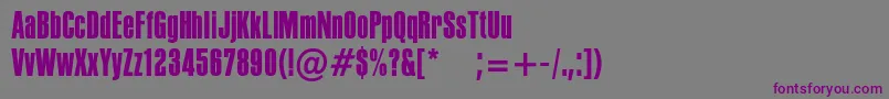 Шрифт PffusionsansMedium – фиолетовые шрифты на сером фоне